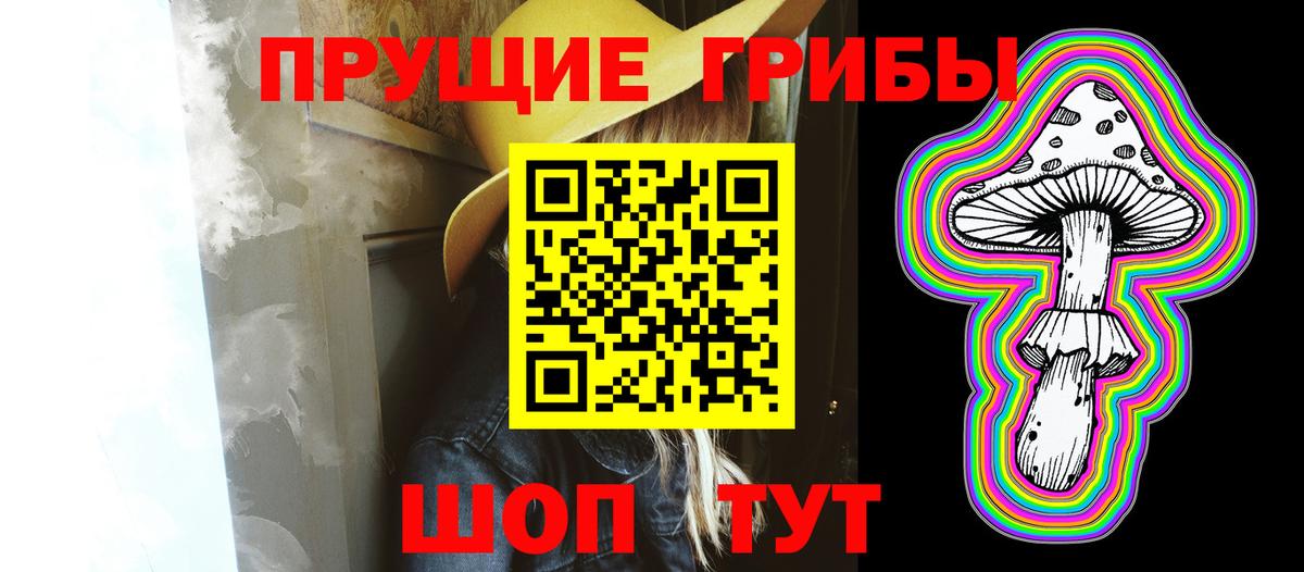 Псилоцибиновые грибы GOLDEN TEACHER Заволжье