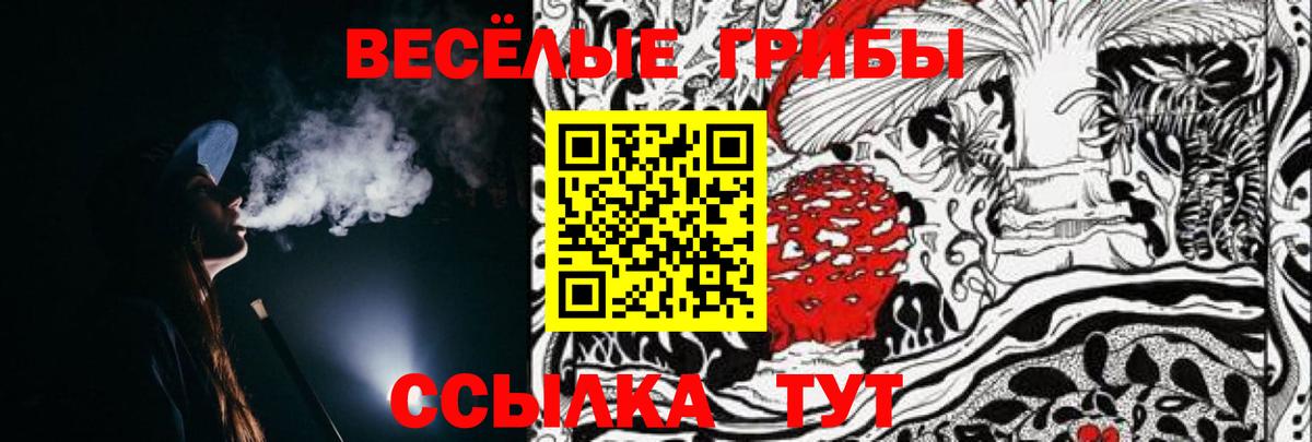 Псилоцибиновые грибы MAGIC MUSHROOMS  Вход с VPN  где купить   Заволжье 